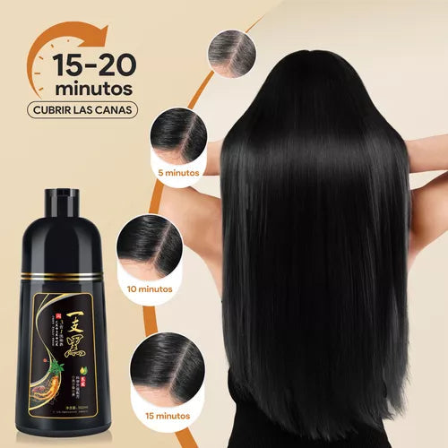 Shampoo Instantaneo Cubre Canas 3 en 1 Natural-Gengibre Efecto Inmediato + Envio Gratis 🎁