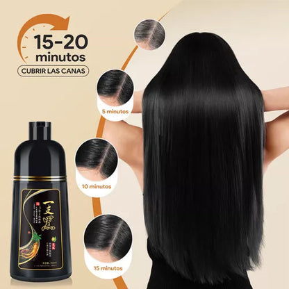 Shampoo Instantaneo Cubre Canas 3 en 1 Natural-Gengibre Efecto Inmediato + Envio Gratis 🎁