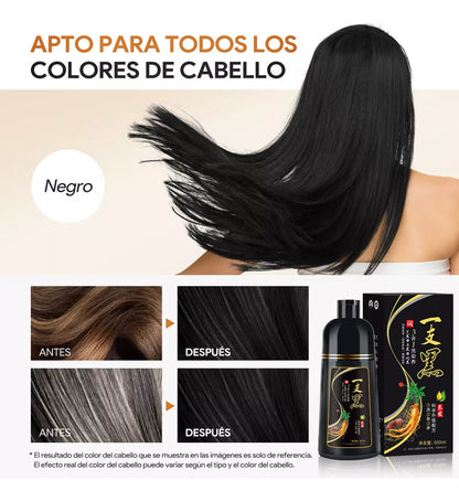 Shampoo Instantaneo Cubre Canas 3 en 1 Natural-Gengibre Efecto Inmediato + Envio Gratis 🎁